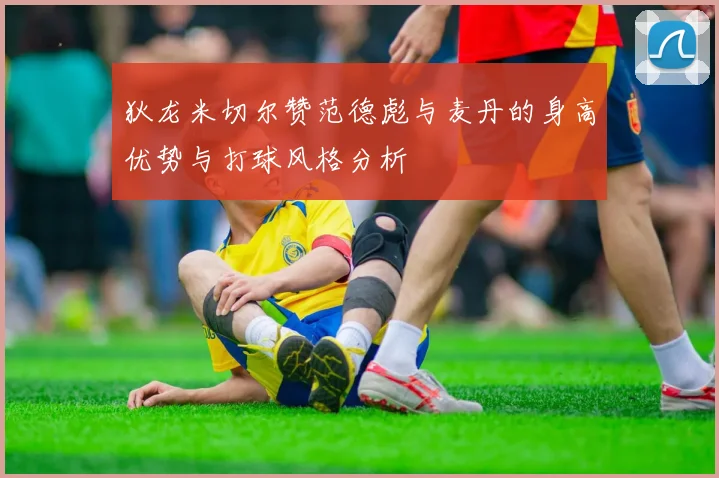 狄龙米切尔赞范德彪与麦丹的身高优势与打球风格分析