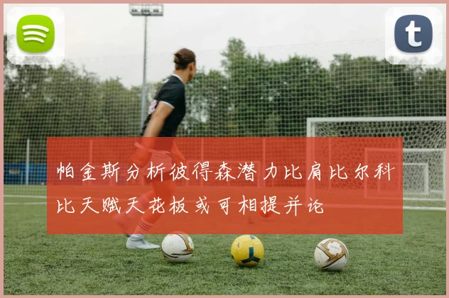 帕金斯分析彼得森潜力比肩比尔科比天赋天花板或可相提并论