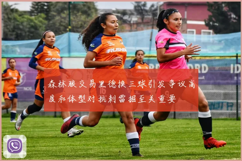 森林狼交易里德换三球引发争议高度和体型对抗刺雷掘至关重要